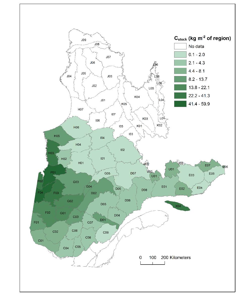 Mineral horizon C stock is highest in the eastern and southern parts of the province, while organic horizon C stock generally increase with latitude and the presence of closed black spruce stands,