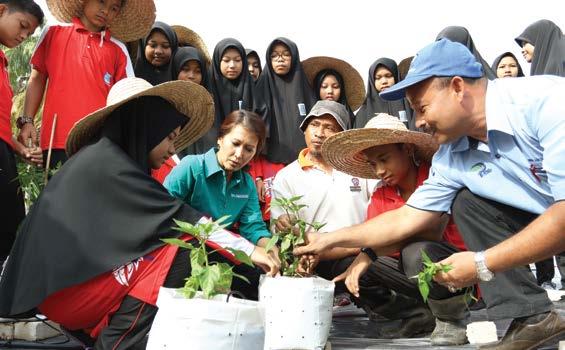 So far, 29 residents have received 0.4 hectares land for chilli planting, and are generating an average income of RM1,200 monthly.