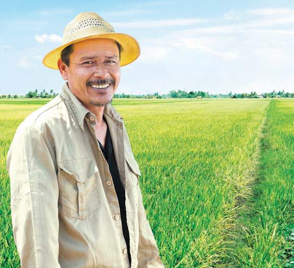 NESTLÉ IN SOCIETY REPORT 2016 55 Rural Development G4-DMA: Local Communities, G4-EC7, G4-EC8, G4-SO1 NESTLÉ PADDY CLUB Rice is a key ingredient in Nestlé s infant cereals and it is produced in