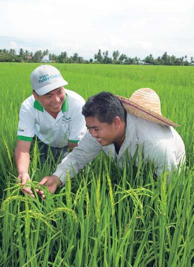 56 NESTLÉ IN SOCIETY REPORT 2016 Rural Development G4-DMA: Local Communities, G4-EC7, G4-EC8, G4-SO1 The Benefits of NESTLÉ PADDY CLUB 1 2 3 PEOPLE Providing environmentally friendly means to