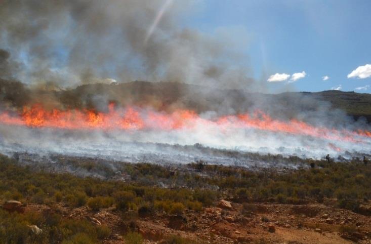 Brandbestryding 2012-2013 Moeilike jaar met groot brande wat almal se hulpbronne tot die uiterste beproef het.