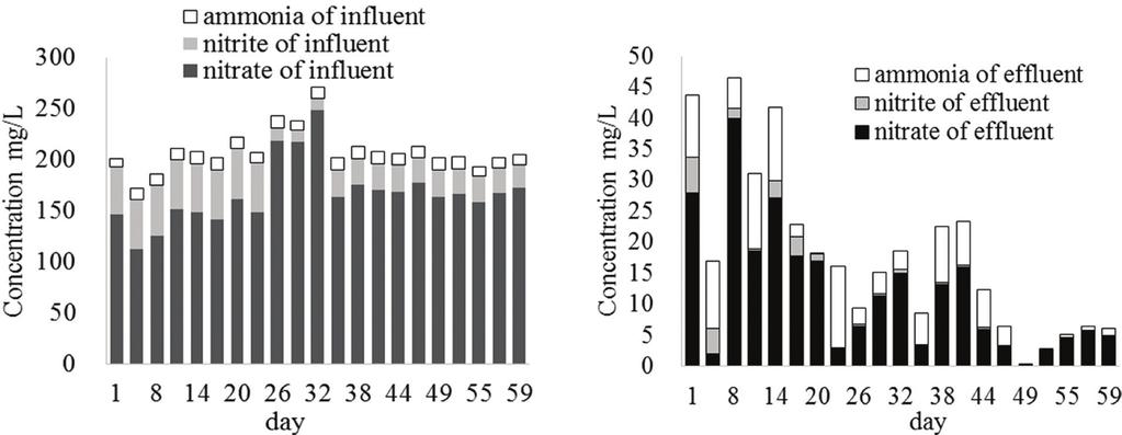 308 C. DING, Q. WANG, J. ZHOU, H. REN, Y. SONG and Y. YANG Table 3. Averaged Concentrations of Nitrate, Nitrite and Ammonia in Influent and Effluent.