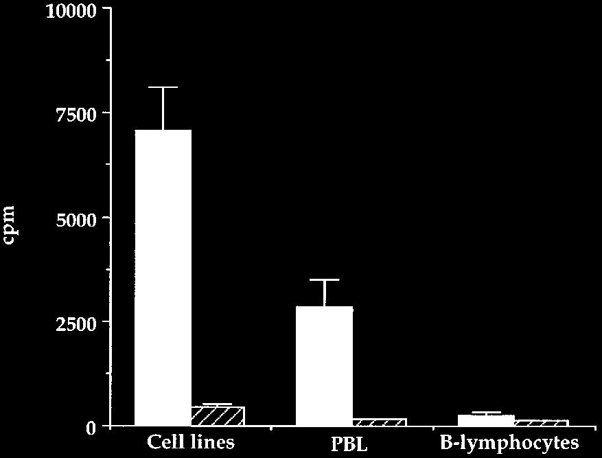in lymphocytes that was not present in AHH1 or HeLa cells (Figure 4, panel III).