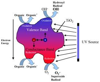 create hydroxyl radicals and oxidize surface-absorbed contaminants The conduction band