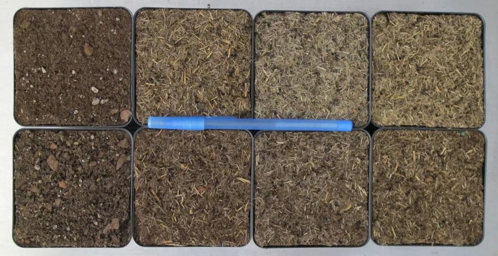 Substrates in Study Peat (75%) Perlite