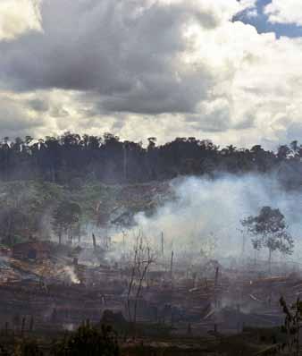 Since the 1980s there have been numerous serious flash floods and landslides, many of them involving human fatalities, and most of which have been directly linked to large-scale illegal logging in