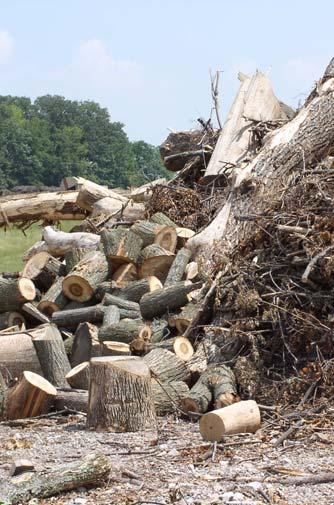 Traditionally, communities pay large amounts for BOTH heating fuel and disposal of removed trees.