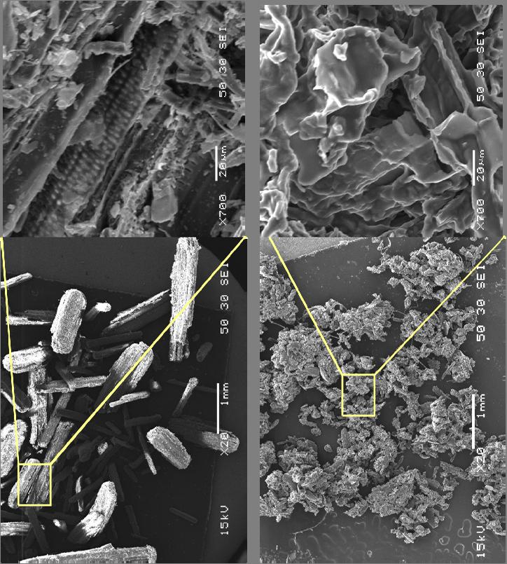 Cellulose crystallinity as a function of pretreatment X-ray diffraction Initial Biomass Recovered Product Loss of crystallinity and structural