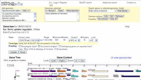 Computational analysis Comparative genomics analysis