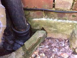 access in order to diagnose the damp.