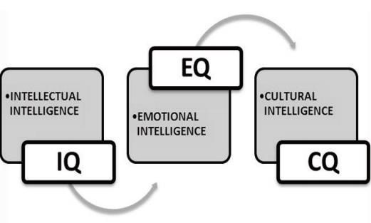 Introduction to Cultural Intelligence - Bridging the Cultural Divide across Organizations The world is becoming smaller day by day and the cultures once far removed from each other geographically, no