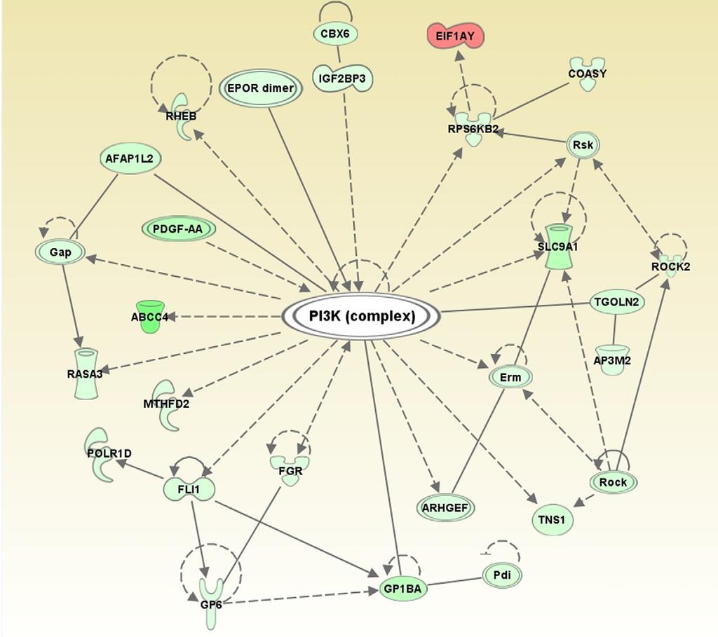 Platelet mirna - mirnas as potential regulators of signaling pathways in platelets - mirnas as potential markers of platelet-associated disorders - Platelet