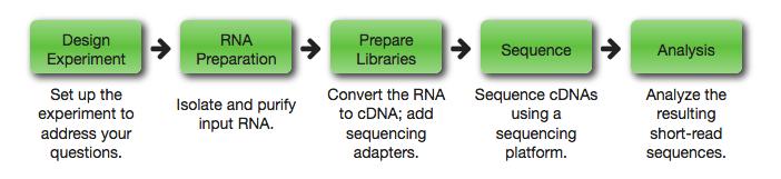 RNA-Seq Workflow