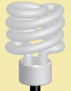Compare the output of energy of the standard (incandescent) light bulb: with that of the fluorescent light bulb:. What do you notice about the energy and output of these bulbs?