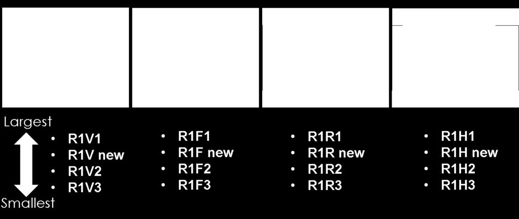 R1 Zone and as such each Variation Zone must include R1 in its name to indicate its association with the R1 Zone.