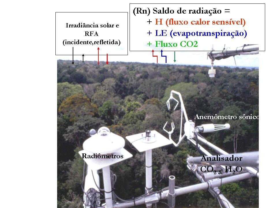 Measurements in the flux tower