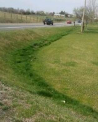 The source of this illicit discharge was determined by following the smell and excessive vegetation in the ditch line to a sewer manhole. The two pictures were taken in the spring.