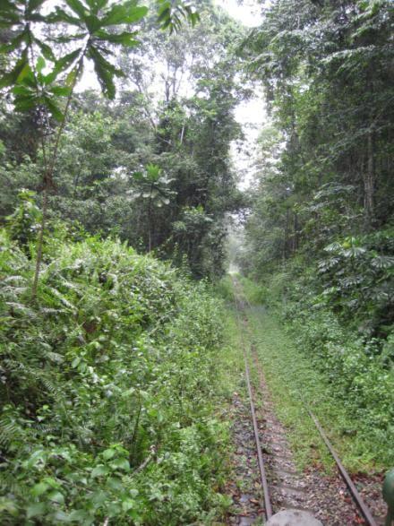 existing rail corridor is one of the