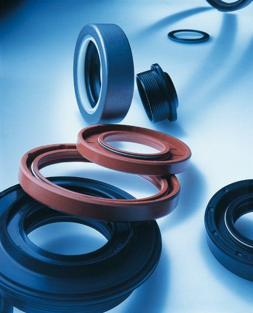 R u b b e r D i v i s i o n : O i l S e a l s ROLF S.p.A. - Oil Seals Div. - Italy We can manufacture a huge range of rotary shaft seals: standards: more than 1.