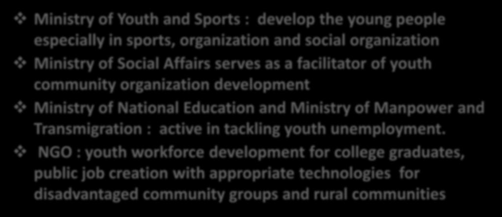 PROGRAMS FOR YOUTH MINISTRY OF AGRICULTURE PROGRAMS FOR YOUNG FARMER training for capacity building Ministry of Youth and Sports : develop the young people especially in sports, organization and