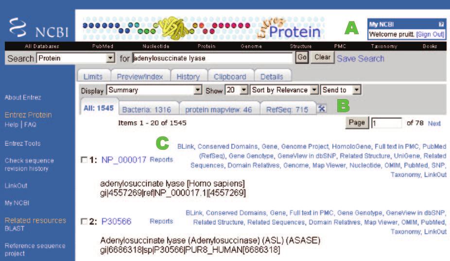 Nucleic Acids Research, 2007, Vol. 35, Database issue D63 Figure 1. Entrez query results include records from RefSeq and GenBank (nucleotide queries) or GenPept (protein queries).