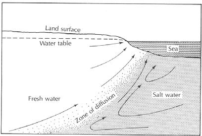 An unconfined aquifer has a hydraulic conductivity of 1.73m/day. and effective porosity (n e ) 0.27. The aquifer has a uniform thickness of 31m. At well 1, the depth to W.T is 21m.