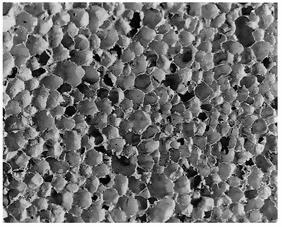 Figure 1. 1: Pore structure of an aluminium foam of different aluminium alloys (Simancik et al., 2000) There are some potential applications of metal forms (Ashby et al., 2003).
