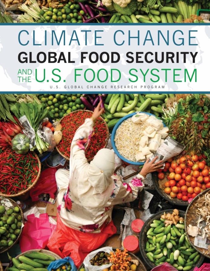 Synthesis Reports: Global Food Security Conclusions Climate change is very likely to affect food security. Risks are greatest for the poor and in the tropics.