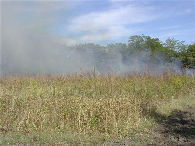 Prescribed Burning Regardless of what time or type of grass you are burning, always have a written prescribed burn
