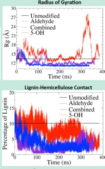 More hydrophobic lignin tends to collapse and interact