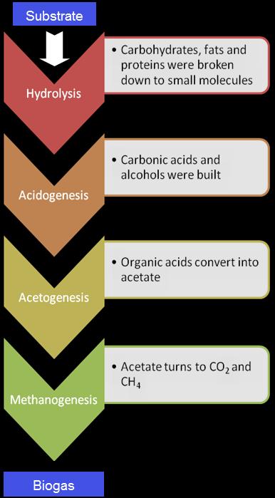 ANAEROBIC DIGESTION AT A GLANCE Digestion of organic matter in the absence of oxygen.