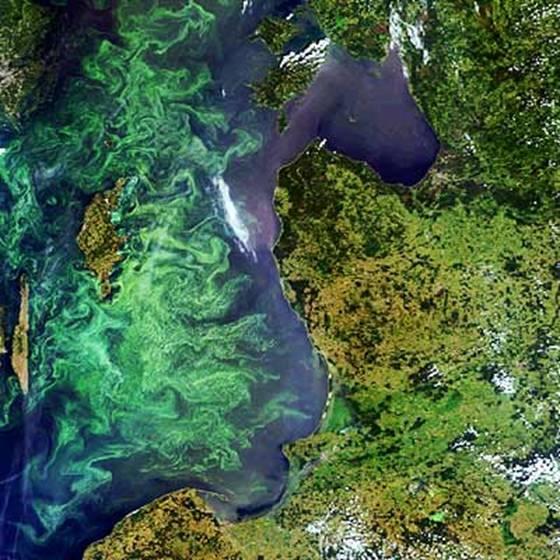 Baltic Sea Program The Baltic Sea has been given the status of Particulary Sensitive Sea Area (PSSA) by the decision of the International Maritime Organization (IMO), a specialized agency of the