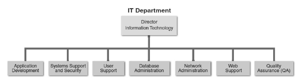 FIGURE 1-29 Depending on its size, an IT department might have separate organizational
