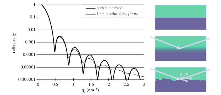 Effect of Surface/Interface Roughness