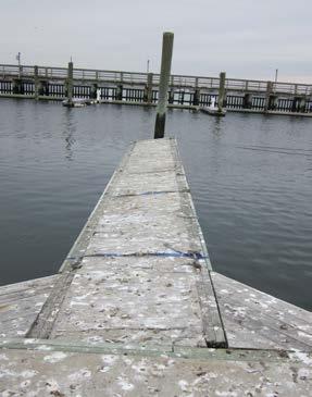 Pope s Island Marina Floating Dock Condition Assessment Report Sixteen of the pile hoops supporting the finger floats are in critical condition (out of twenty total).