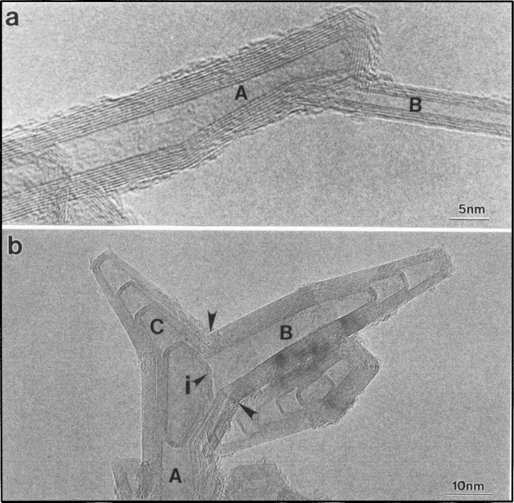 a An HRTEM image shows that the nanotube contains multiple inner chambers labeled by arrows lined up by different axes.