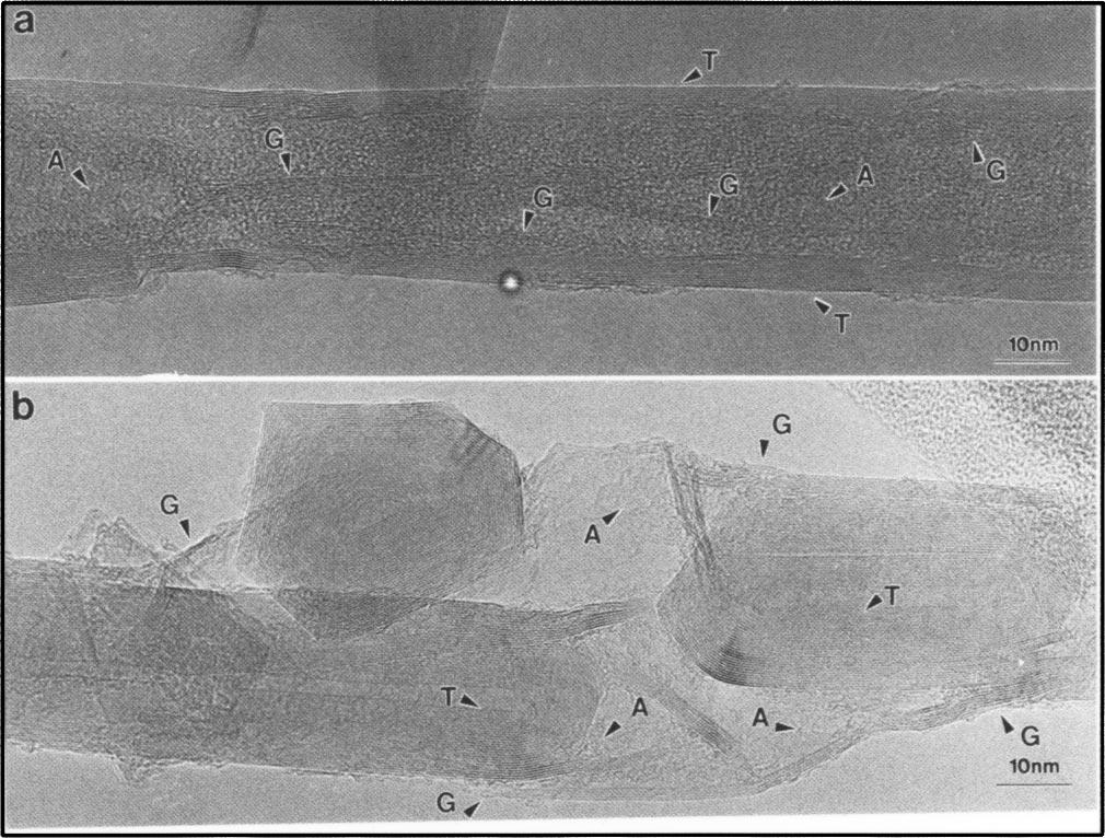 a An HRTEM image of a quenched nanotube showing that the disordered carbon residue is left either inside the hollow core indicated by arrows or on the outer surface labeled by S.