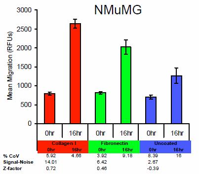 NMuMG and HT1080 cell migration optimization using Oris TriCoated Plates A Different cell types tend to have different cell migration behavior, which is why the TriCoated plates were developed to