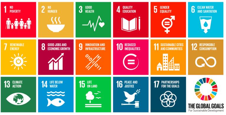 Sustainable Development Goals: action to be