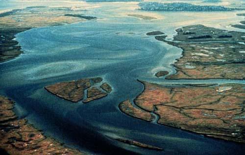 Plum Island Ecosystem LTER Plum Island, Massachusetts Principal biome: Coastal estuary.