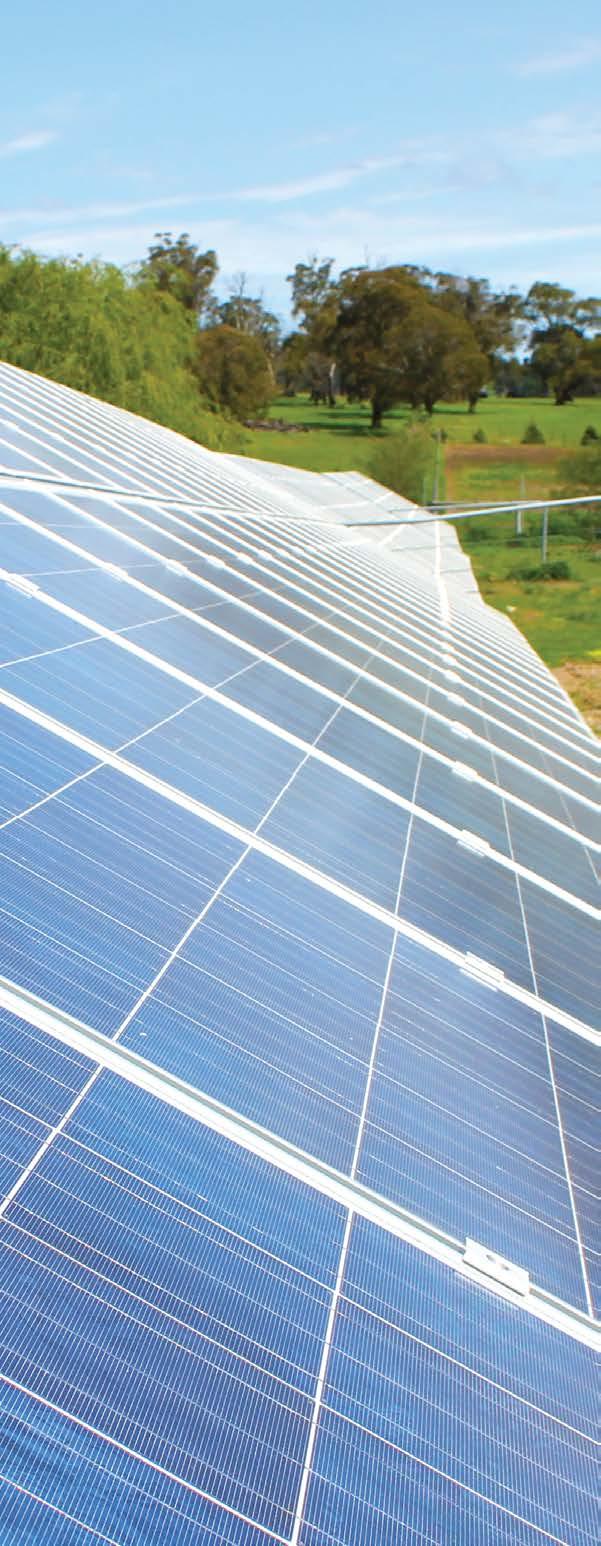 TOP FIVE TIPS FOR PURCHASING SOLAR PV 1 UNDERSTAND THE ELECTRICITY CONSUMPTION OF YOUR BUSINESS AND CHOOSE THE RIGHT SIZE SYSTEM FOR YOUR NEEDS Your consumption profile will determine the viability