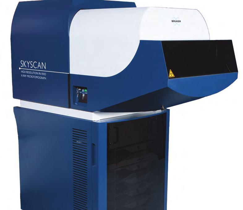 3D images down to the sub-micron level micro-ct Bruker s SkyScan product line allows you to cut virtual sections or even fly through samples non-destructively.