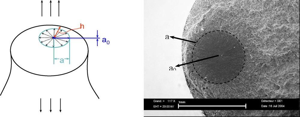 3(a) present a SEM micrograph of the area with the internal crack, located at the left core. Fig. 3.