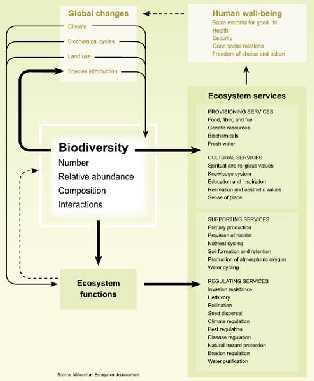SUTARNO Global warming and loss of biodiversity 5 Figure 4.