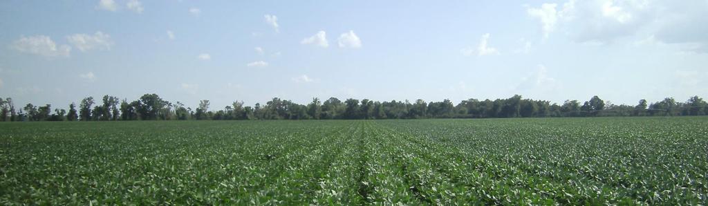 Objective Demonstrate management practices for high soybean yield in large