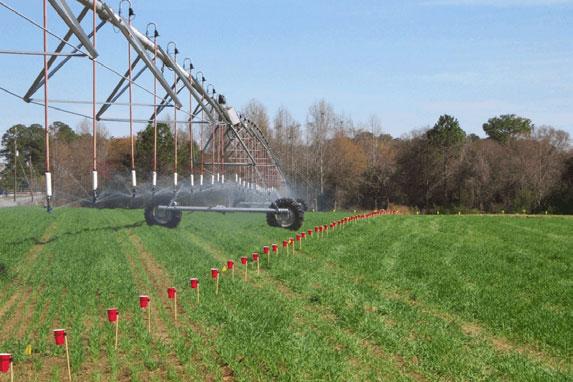 The VRI control system was installed on a NESPAL research pivot during February, 2001.