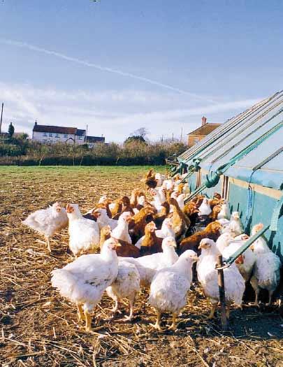 for high standards of animal welfare. CIWF Trust encourages the promotion of organic produce as a welfarefriendly alternative to factory farming.