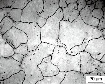 Figure 4 shows optical micrographs taken from the squeeze cast AM60 specimens with the section thicknesses of 6, 10 and 20 mm, respectively.