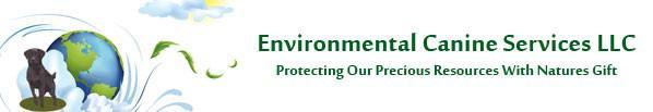 Environmental Associates