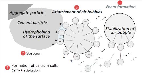 through the formation of insoluble calcium salts. (Eickschen, 2012). Figure 1. Illustration of the Air-Entraining Agent mechanism in cement paste.